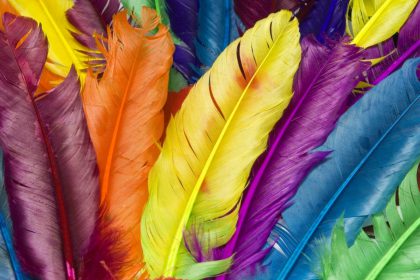 plumas-de-colores